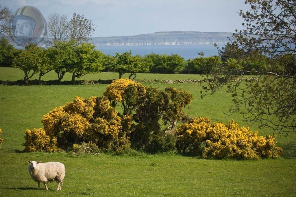 ireland Fushata running 