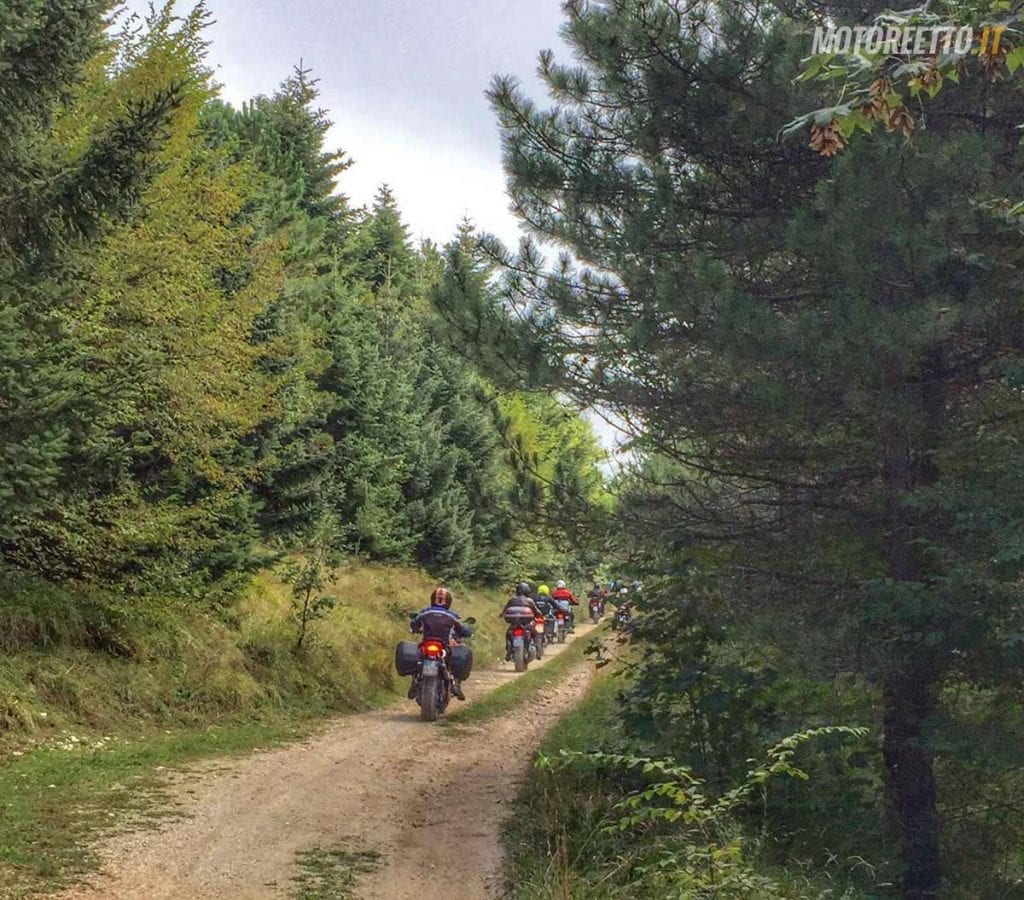 marche strade bianche nel bosco marco polo team dirty roads