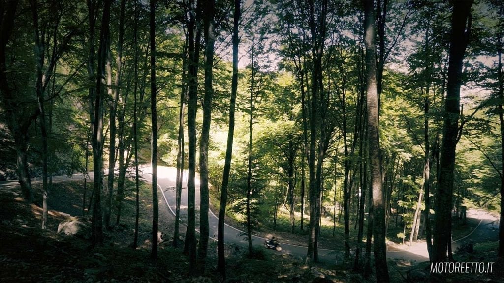 strada nel bosco a sdruzzinà per salire a passo fittanze, motoreetto guida alla lessinia