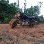 amazzonia Triumph Bonneville Beckham 03