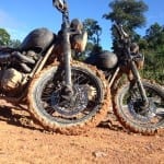 amazzonia Triumph Bonneville Beckham 04