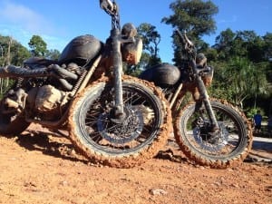 amazzonia Triumph Bonneville Beckham 04