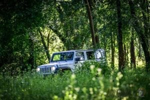 Jeep Wrangler en motoreetto fuera de ruta