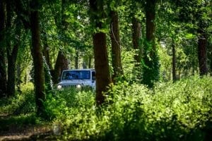 jeep wrangler in fuoristrada motoreetto per off the map